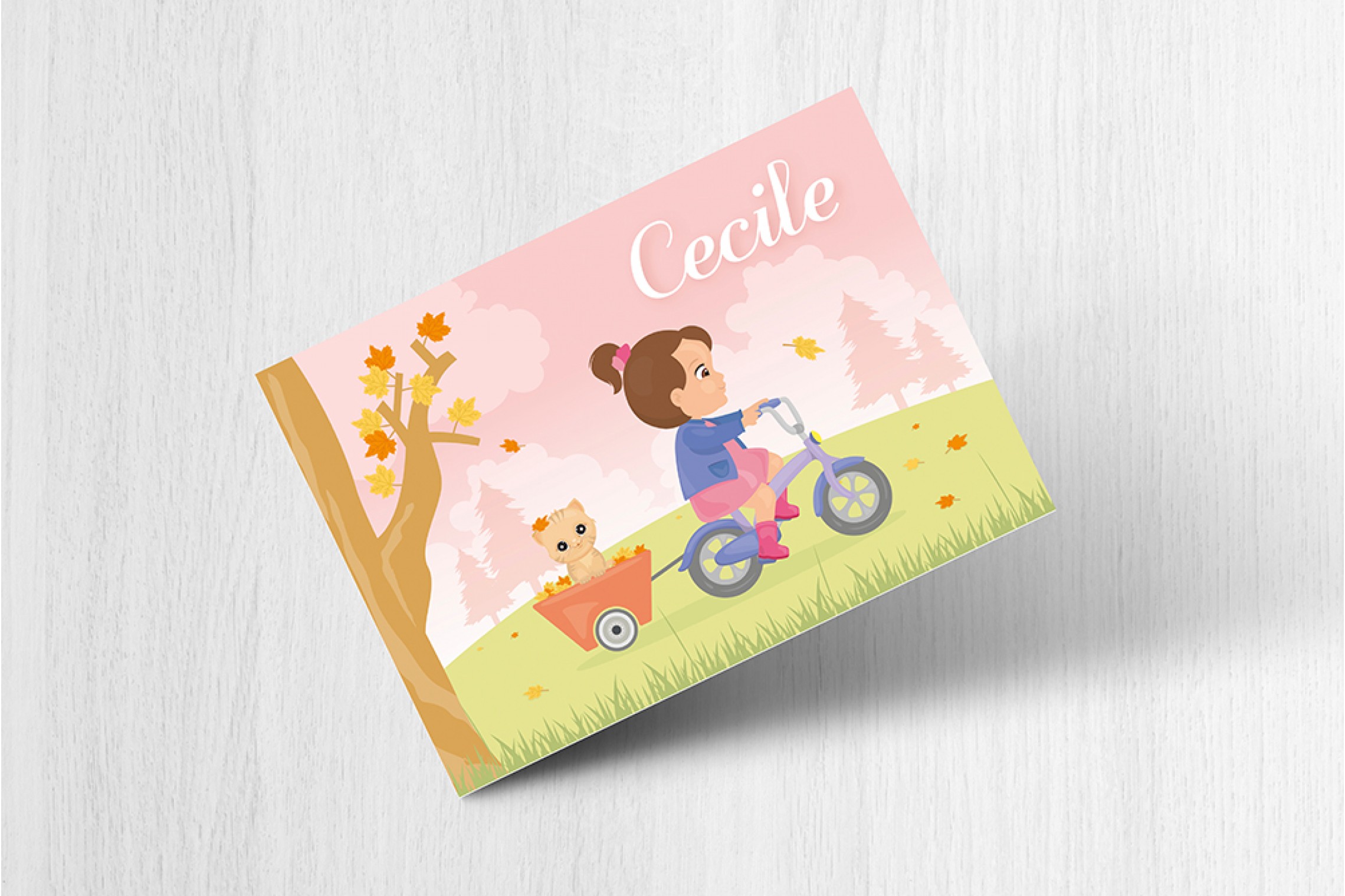 Fietsje met katje